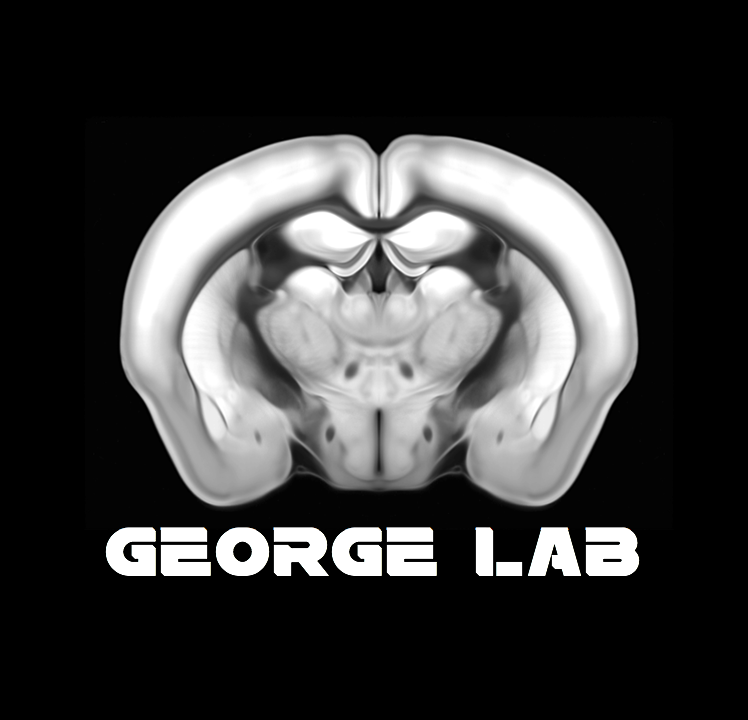 George Lab Website